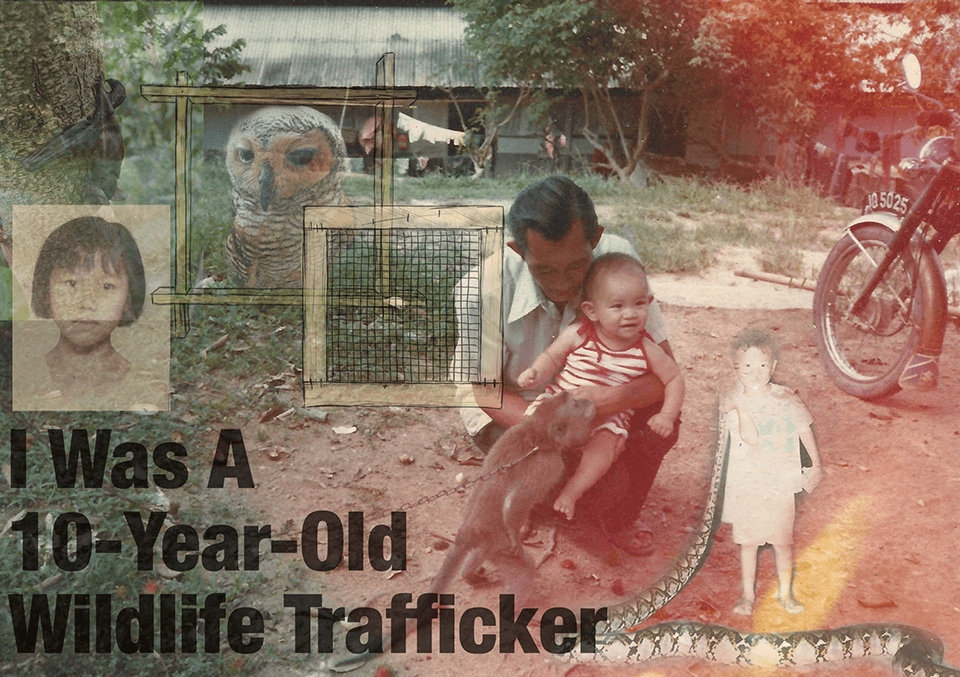 I Was A 10-Year-Old Wildlife Trafficker Screenshot 1