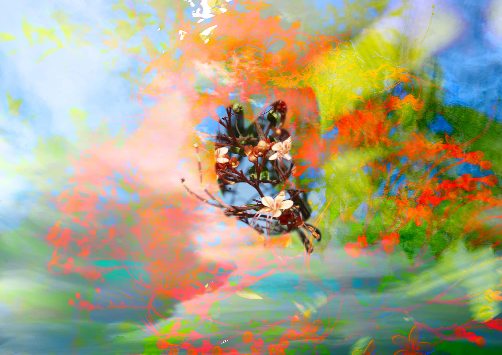 Wang Ruimeng | ADM Show 2021